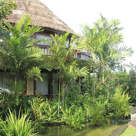 Taman Wana Resort Palasari Negara  Buitenkant foto